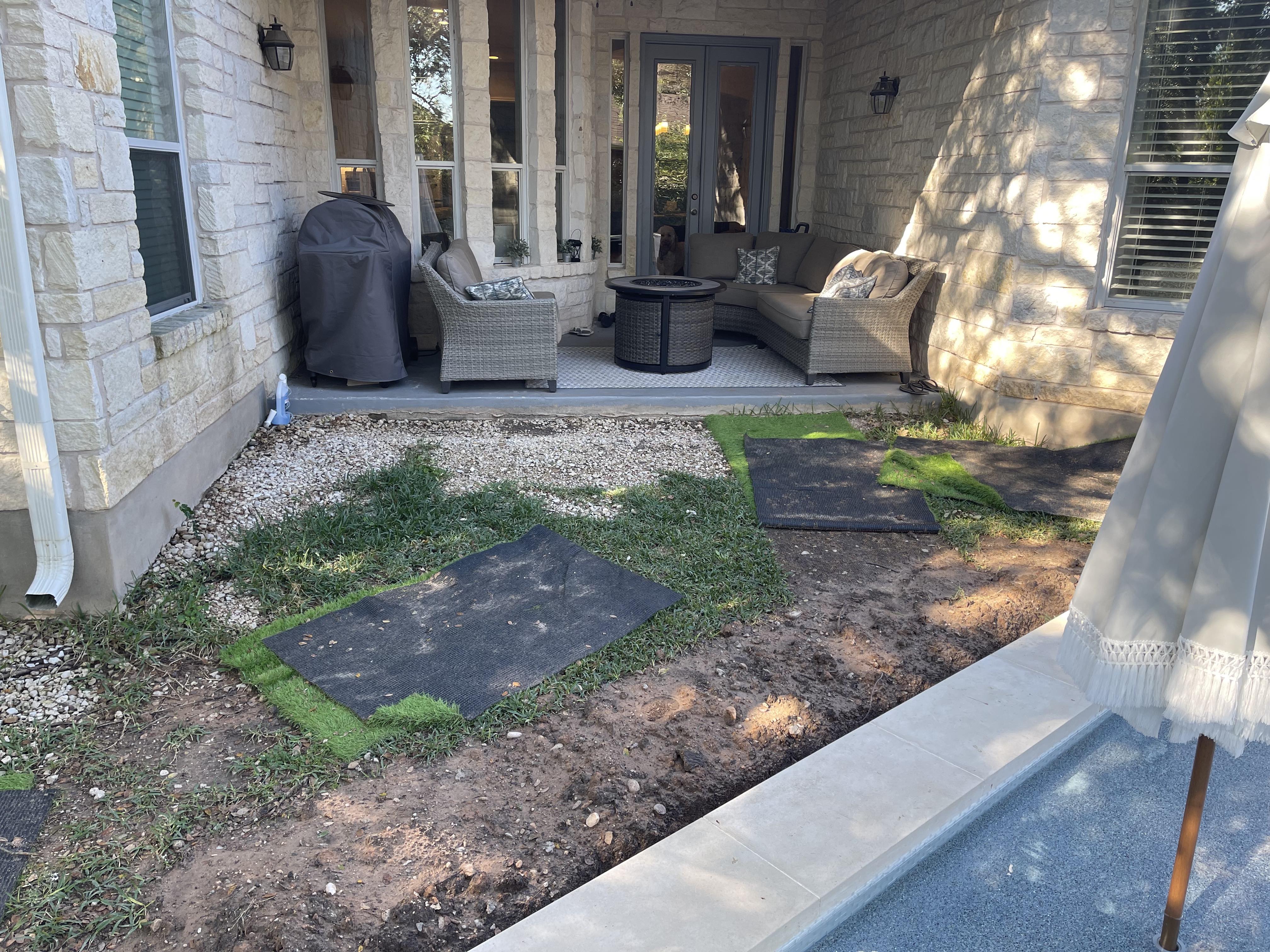 before picture of backyard